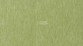 Ковролин Vorwerk Passion 1002 Vorwerk 4e70 фото 1 | FLOORDEALER