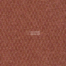 Ковролин Shaw Formation 800 фото 1 | FLOORDEALER