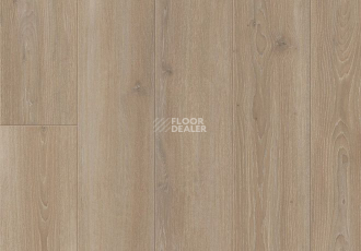 Parador Trendtime 6 1601103 Дуб Скайлайн Жемчужно-серый фото 2 | FLOORDEALER