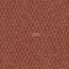 Shaw Formation 800 фото 1 | FLOORDEALER