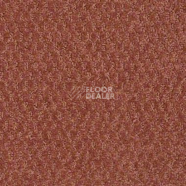 Ковролин Shaw Formation 800 фото 1 | FLOORDEALER