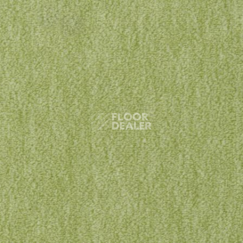 Ковролин Vorwerk Passion 1002 Vorwerk 4e70 фото 1 | FLOORDEALER