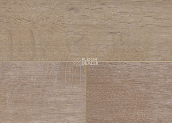 Terhurne Trend Line 243мм 1912 Дуб Барбершоп 1101020897 фото 2 | FLOORDEALER