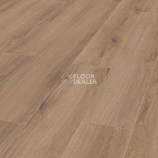 Ламинат Kronotex Robusto 12мм d80622 Дуб норфолк бронзовый фото 1 | FLOORDEALER