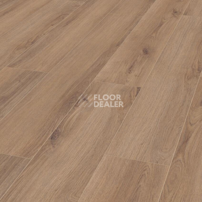 Ламинат Kronotex Robusto 12мм d80622 Дуб норфолк бронзовый фото 1 | FLOORDEALER