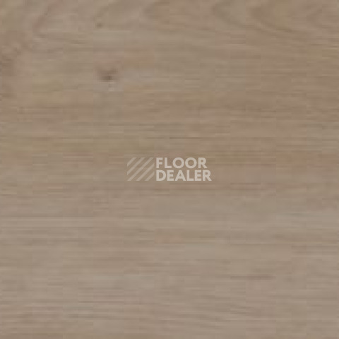 Evofloor Optima Click 4.2мм Дуб Гавана фото 3 | FLOORDEALER