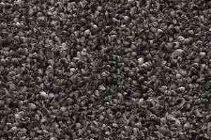 Ковролин AW Perseus 99 фото  | FLOORDEALER