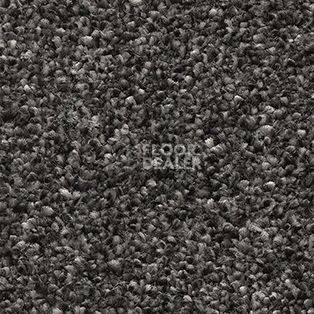 Ковролин AW Perseus 99 фото 1 | FLOORDEALER