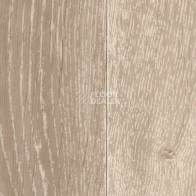 Линолеум Taralay Initial Compact (wood) 0588 Noma Clair фото 1 | FLOORDEALER