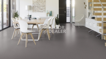 Gerflor Taralay Initial Compact (Plain & allover look) 0973 Spider Alu фото 2 | FLOORDEALER