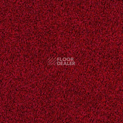 Ковролин Desso Torso-Brlm 4202 фото 1 | FLOORDEALER