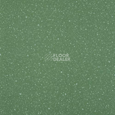 Линолеум Lg Compact CT90520 фото 1 | FLOORDEALER