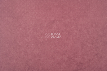 Forbo Emerald Standart 72412 фото 3 | FLOORDEALER