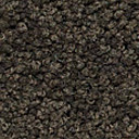 Ковролин Girloon Body1 751  | FLOORDEALER