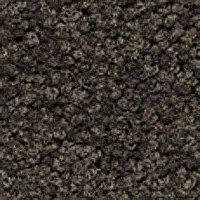 Ковролин Girloon Body1 751 фото 1 | FLOORDEALER