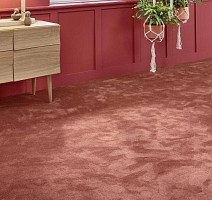 Vorwerk Superior 1067 Mira Vorwerk 1n49 фото 2 | FLOORDEALER