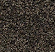 Ковролин Girloon Body1 751 фото 1 | FLOORDEALER