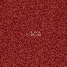 Ковролин Desso Marathon 4218 фото 1 | FLOORDEALER