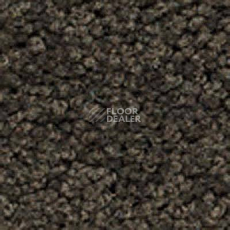 Ковролин Girloon Body1 751 фото 1 | FLOORDEALER