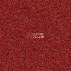 Ковролин Desso Marathon 4218 фото 1 | FLOORDEALER