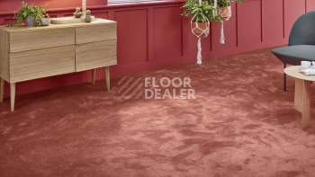 Vorwerk Superior 1067 Mira Vorwerk 1n49 фото 2 | FLOORDEALER