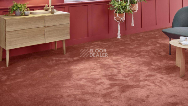 Vorwerk Superior 1067 Mira Vorwerk 1n49 фото 2 | FLOORDEALER