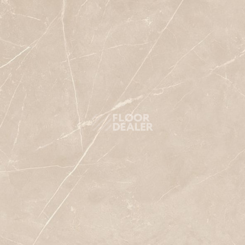 Nolana ( Нолана ) 60 x 60 x10 NL01 фото 7 | FLOORDEALER