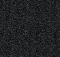 Грязезащитные покрытия Forbo Coral Marine FR 4230 New York Black фото 1 | FLOORDEALER