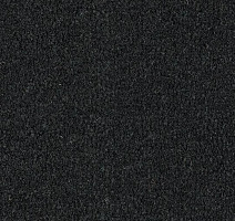 Грязезащитные покрытия Forbo Coral Marine FR 4230 New York Black фото 1 | FLOORDEALER