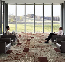 Interface Global Change Collection - Ground