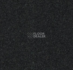 Грязезащитные покрытия Forbo Coral Marine FR 4230 New York Black фото 1 | FLOORDEALER