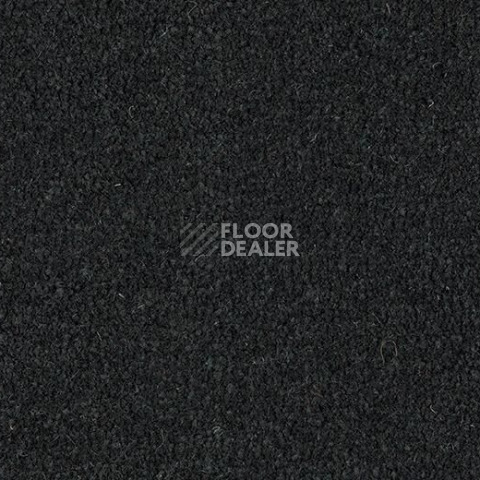 Грязезащитные покрытия Forbo Coral Marine FR 4230 New York Black фото 1 | FLOORDEALER