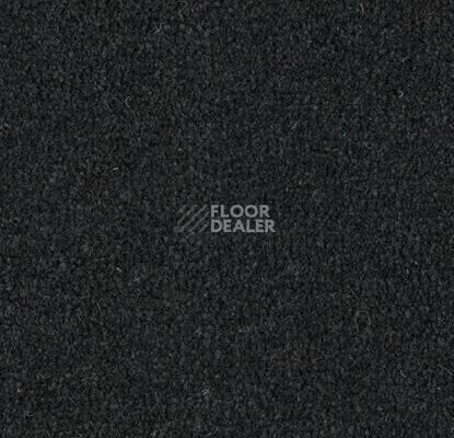 Грязезащитные покрытия Forbo Coral Marine FR 4230 New York Black фото 1 | FLOORDEALER