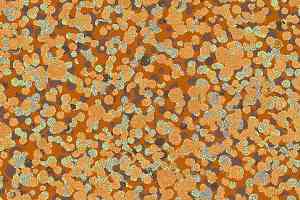 Ковровая плитка Halbmond Tiles & More 4 tm 4-047-05 фото  | FLOORDEALER