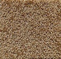 Ковролин Big Sunset 320 фото 1 | FLOORDEALER