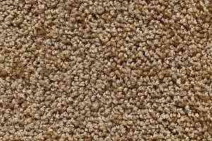 Ковролин Big Sunset 320 фото  | FLOORDEALER