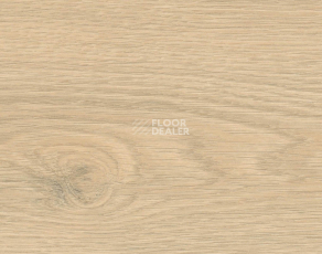 Ламинат Haro Tritty 200 Aqua 4V Дуб Флавия Пуро 544769 фото 1 | FLOORDEALER