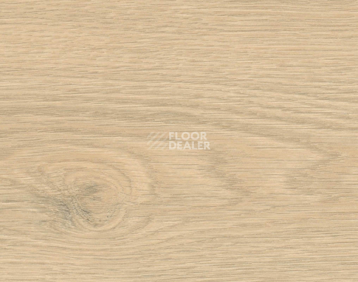 Ламинат Haro Tritty 200 Aqua 4V Дуб Флавия Пуро 544769 фото 1 | FLOORDEALER