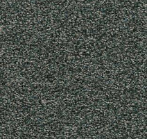 Ковролин AW Timeless 74 фото 1 | FLOORDEALER