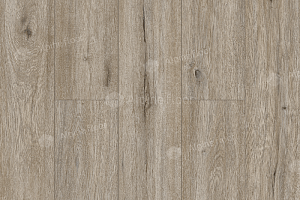 Кварцвиниловые полы Alpine Floor Solo Прэсто ЕСО 14-8 фото  | FLOORDEALER