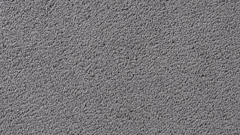 Ковролин Vorwerk Passion 1003 Vorwerk 5v24 фото 1 | FLOORDEALER