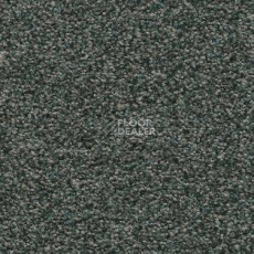 Ковролин AW Timeless 74 фото 1 | FLOORDEALER
