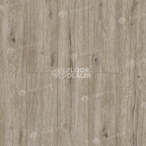 Кварцвиниловые полы Alpine Floor Solo Прэсто ЕСО 14-8 фото 1 | FLOORDEALER
