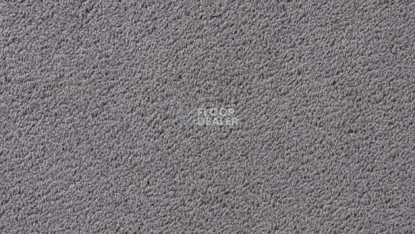 Ковролин Vorwerk Passion 1003 Vorwerk 5v24 фото 1 | FLOORDEALER