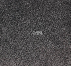 Ковролин Edel Ambition 189 фото 1 | FLOORDEALER