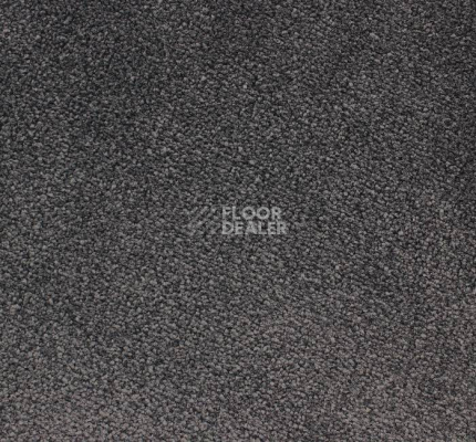 Ковролин Edel Ambition 189 фото 1 | FLOORDEALER