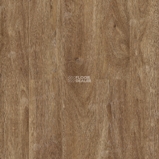 Alpine Floor Albero 10мм A1005 ДУБ ШЕРВУД фото 1 | FLOORDEALER