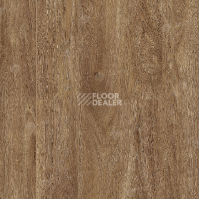 Ламинат Alpine Floor Albero 10мм A1005 ДУБ ШЕРВУД фото 1 | FLOORDEALER