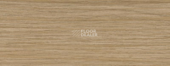 Плинтус Dollken EP 60/13 2567 фото 2 | FLOORDEALER