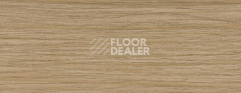 Плинтус Dollken EP 60/13 2567 фото 2 | FLOORDEALER